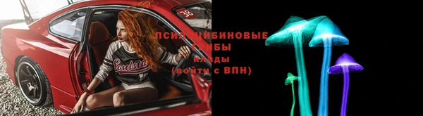 сатива Белоозёрский