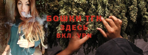 сатива Белоозёрский