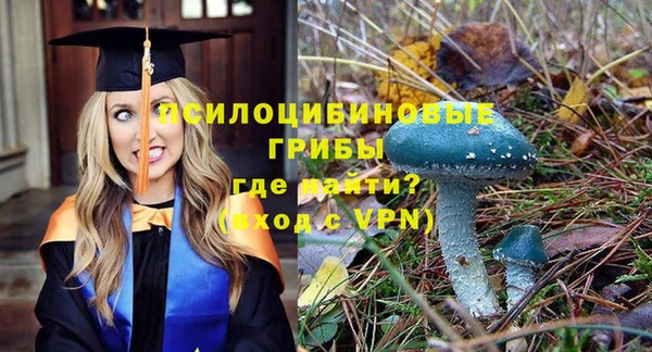 сатива Белоозёрский