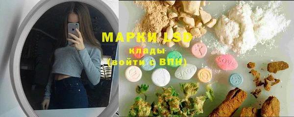 сатива Белоозёрский
